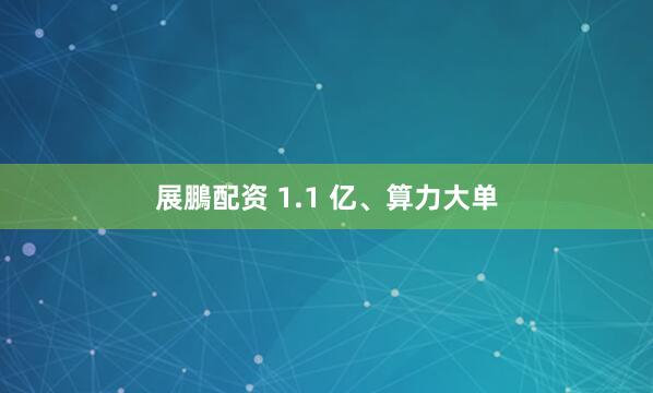 展鵬配资 1.1 亿、算力大单