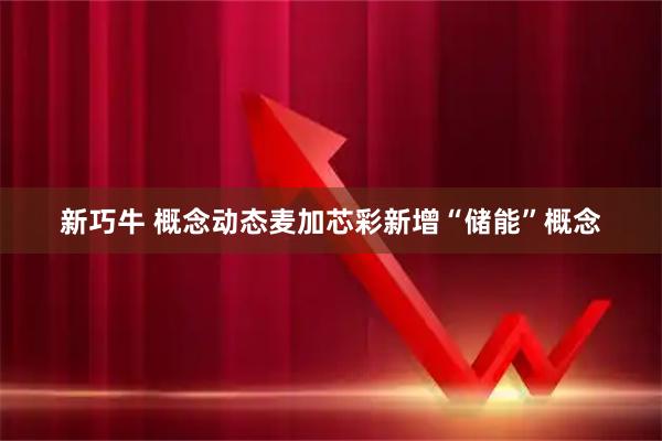 新巧牛 概念动态麦加芯彩新增“储能”概念